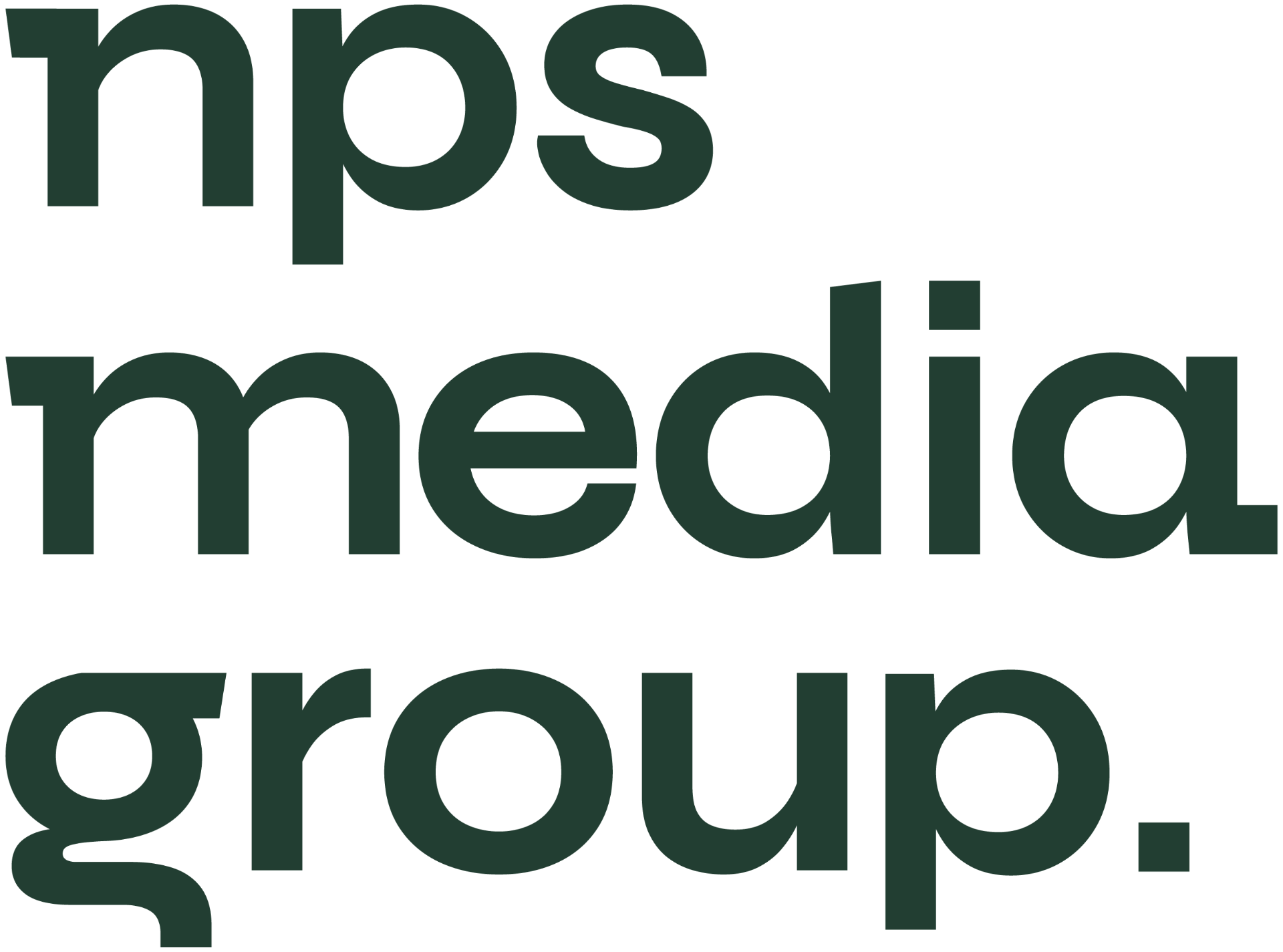 NPS Media Group